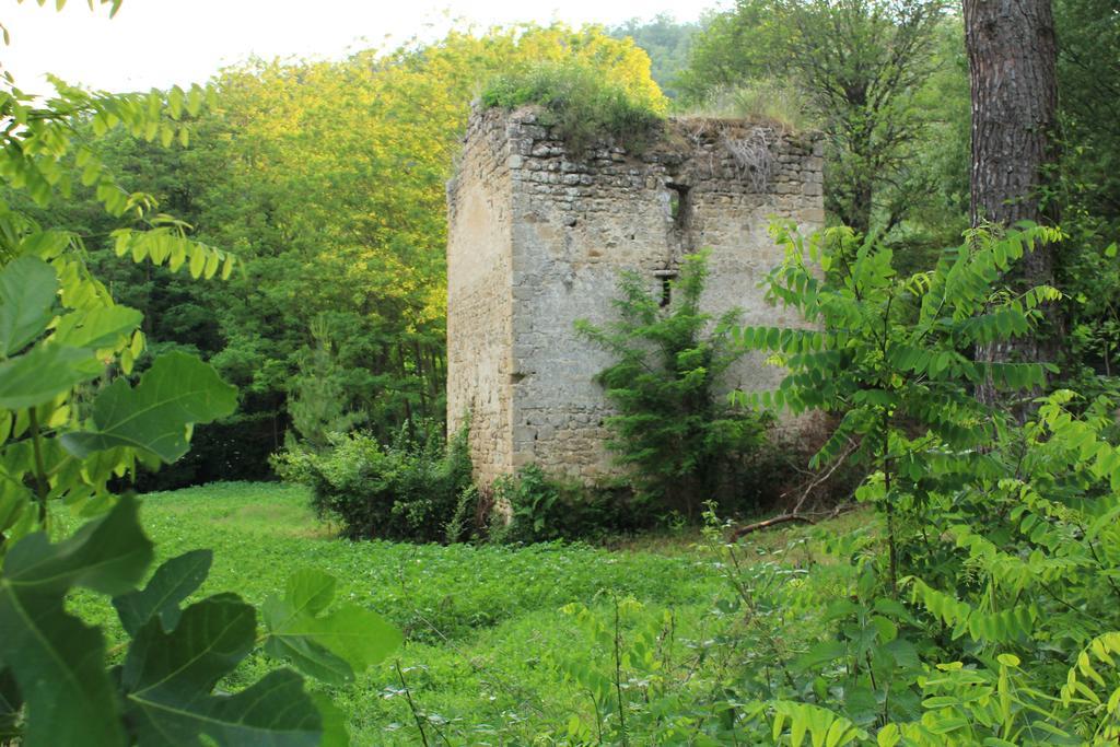 Il Molinaccio Al Rio Chiaro Vila Civitella dʼAgliano Exterior foto